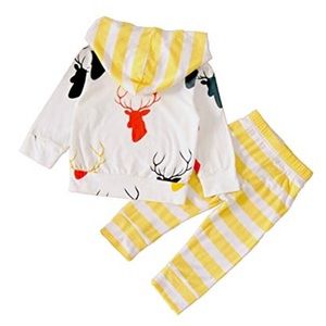 Toddler hoodie and pants set
